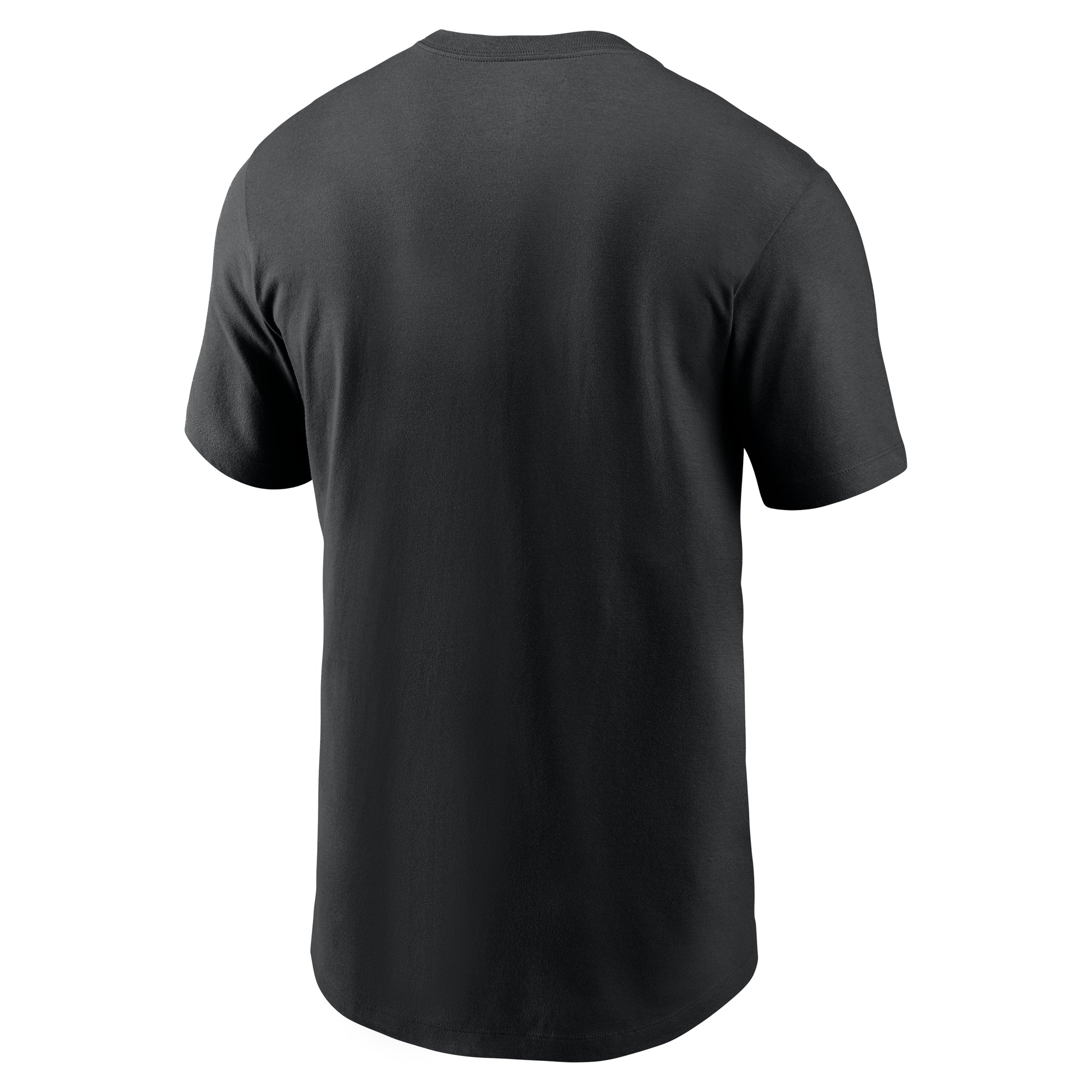 Men's Nike Detroit Lions Black Team Logo T-Shirt